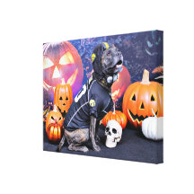 Halloween - Pitbull - Marley Gallery Wrap Canvas