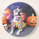 Halloween - Pitbull - Tyson Drink Coaster