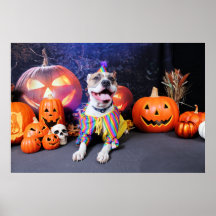 Halloween - Pitbull - Tyson Print