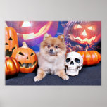 Halloween - Pomeranian - Simba Posters