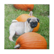 Halloween Pug Puppy Ceramic Tile