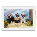 Halloween Pugs Lion Scarecrow Tinman Greeting Cards
