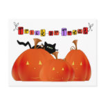 Halloween Pumpkins/Black Cat postcards