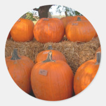 Halloween Pumpkins Round Sticker