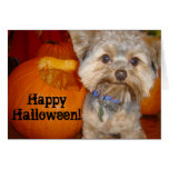 Halloween Pup Greeting Card