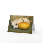 Halloween Puppy Greeting Card