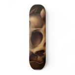Halloween Skull Deck skateboards