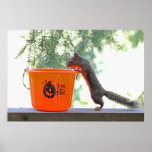 Halloween Squirrel