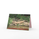 HALLOWEEN THANKYOU cards