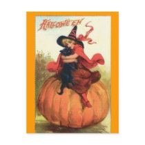 halloween,witch,black,cat,postcard