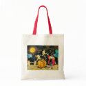 Halloween Witch Trick or Treat Bag