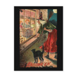Halloween Witch with Cat