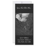Halter Collection Custom Rack Card