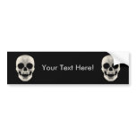 Haltone Skull: Vector Artwork: Bumper Stickers