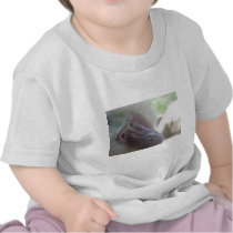 Hamadryas baboon tshirt
