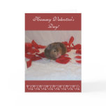 Hammie Valentine's Day Greeting Card