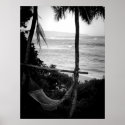 Hammock Overlooking the North Shore posters