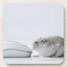 Hamster and Computer mouse Beverage Coaster