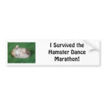 Hamster Dance Marathon bumper stickers