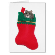 Hamster in Christmas stocking Greeting Card