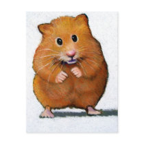 HAMSTER IN COLOR PENCIL POSTCARD