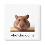 Hamster Magnet