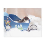 Hamster noah sledding postcards