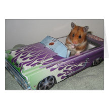 Hamster to go card