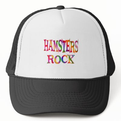 rock hamster