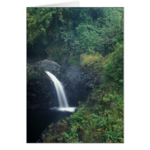 Hana Falls Pipiwai Trail Haleakala National Park Greeting Card
