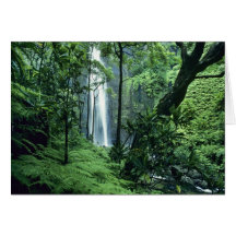 Hanakapiai Falls along the Na Pali Coast, Kauai, Greeting Cards