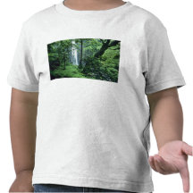 Hanakapiai Falls along the Na Pali Coast, Kauai, T-shirt