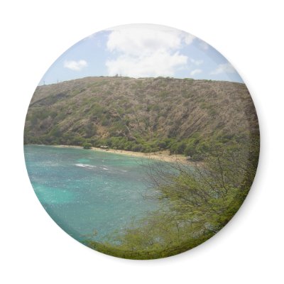 Hanauma Bay Hawaii Fridge Magnets by jbranam