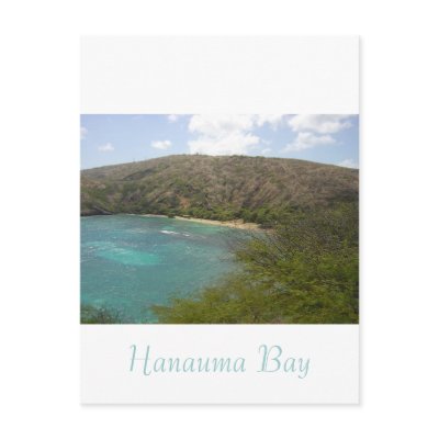 Hanauma Bay Hawaii Postcard by jbranam