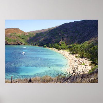 Hanauma Bay Print by StephenBoyle