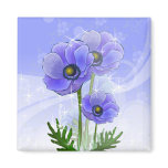 hand drawn Anemone Flowers