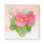Hand drawn pink begonias