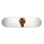 Hand Holding One habanero Hot Pepper Skateboards