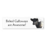 Handsome Belted Galloway Steer Bumper Stickers
