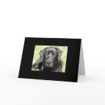 Handsome Black Lab cards