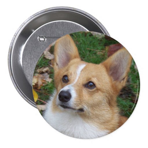 Handsome Corgi Pin
