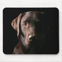 Handsome Labrador Retriever Mousepad