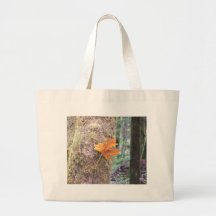 Hang in there canvas bag
