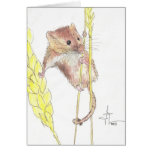 Hang In There, Dormouse! Greeting Cards