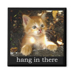 Hang In There - Kitten Magnet