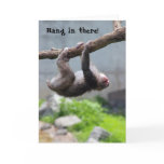 Hang in there Monkey card