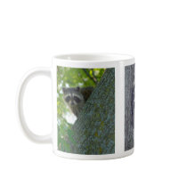 Hang In There Coffee Mugs