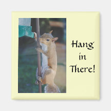 Hang in There Squirrel Magnets