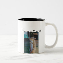 Hang in There Squirrel Mugs