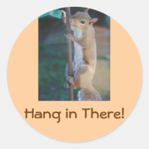 Hang in There Squirrel Round Stickers